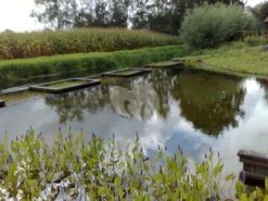 EPDM Vijverfolie 5.05 Meter Breed -Goedkope Droom Vijver Winkel 10092007012 0 2592x1944 4