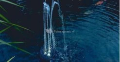 OASE Water Starlet Fontein 10 OASE Water Starlet Fontein -Goedkope Droom Vijver Winkel 50214 waterstarlet foto3 05 gr 0 808x421