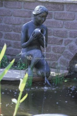 OASE Aquarius Universal Classic 2000 Fonteinpomp -Goedkope Droom Vijver Winkel aquarius universal classic sfeerfoto 0 621x938 5