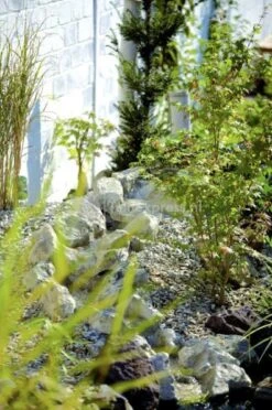 OASE Beekloopelement Zand Rechterbocht Element -Goedkope Droom Vijver Winkel beekloop 50413 2 0 396x597