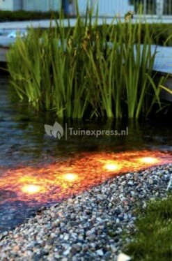 OASE LunAqua Maxi LED Set 3 Vijververlichting -Goedkope Droom Vijver Winkel lunaqua maxi led set3 en solo 0 393x595