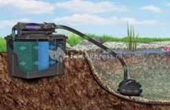 Pontec Meerkamerfilter Met UVC MultiClear Set 5000 7 Pontec Meerkamerfilter Met UVC MultiClear Set 5000 -Goedkope Droom Vijver Winkel meerkamerfilter met uvc multiclear set 50238 2 0 441x286