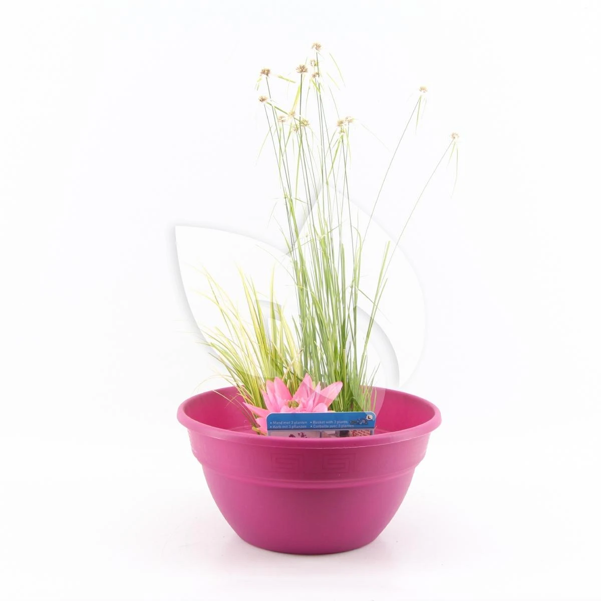 Mini Vijver Kunststof Roze 3 Mini Vijver Kunststof Roze