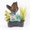 Mix Waterplanten In Ovale Vijvermand 1 Mix Waterplanten In Ovale Vijvermand -Goedkope Droom Vijver Winkel mix waterplanten in ovale vijvermand 1 0 1000x1000