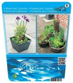 Mix Waterplanten In Vijvermand -Goedkope Droom Vijver Winkel mix waterplanten in vijvermand 3 0 795x900