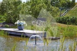 OASE Aquarius Fountain Set Eco 7500 Fonteinpomp 11 OASE Aquarius Fountain Set Eco 7500 Fonteinpomp -Goedkope Droom Vijver Winkel oase aquarius fountain set eco 5500 41923 1 0 1000x666