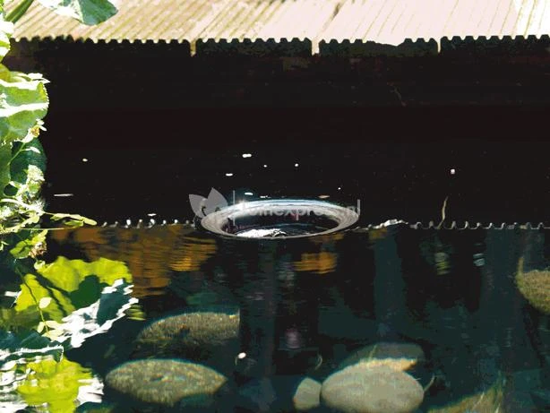 OASE AquaSkim 40 Skimmer Vijver 7 OASE AquaSkim 40 Skimmer Vijver - Afbeelding 5