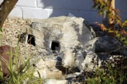 OASE FiltoCap Sand Afdekrots -Goedkope Droom Vijver Winkel oase filtocap sand voor filtoclear 50420 3 0 1000x667