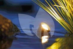 OASE LunAqua 3 LED Set 3 Vijververlichting -Goedkope Droom Vijver Winkel oase lunaqua 3 led set 1 vijververlichting 57034 2 0 1000x667 1