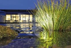 OASE LunAqua 3 LED Set 1 Vijververlichting -Goedkope Droom Vijver Winkel oase lunaqua 3 led set 1 vijververlichting 57034 3 0 1000x667