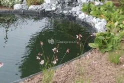 OASE Pondedge Set Van 10 Grondpennen XL -Goedkope Droom Vijver Winkel oase pondedge grondpen 10 stuks 40296 4 0 829x555