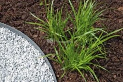 OASE Pondedge Set Van 10 Grondpennen -Goedkope Droom Vijver Winkel oase pondedge grondpen 10 stuks 50848 3 0 794x529