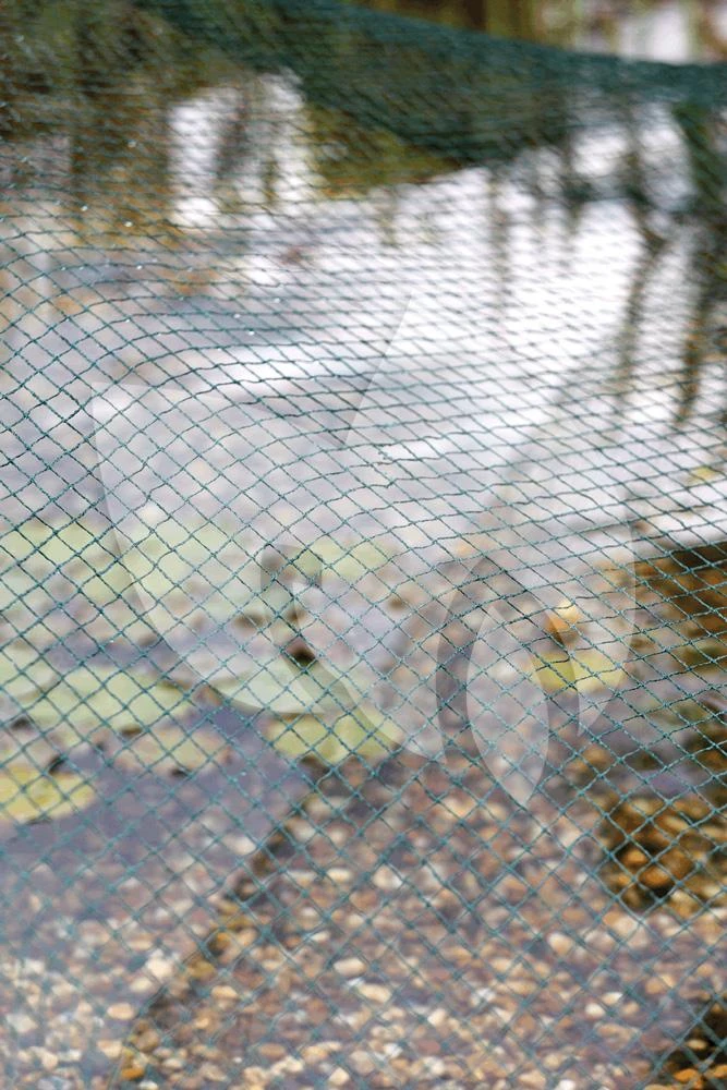 Oase Vijvernet 3 X 4 Meter 5 Oase Vijvernet 3 X 4 Meter - Afbeelding 3