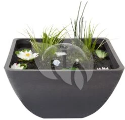 Velda Terrasvijver Fountain Pond Vierkant Klein -Goedkope Droom Vijver Winkel terrasvijver vierkant 55cm 123515 3 0 1000x961