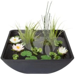 Velda Terrasvijver Fountain Pond Vierkant Groot
