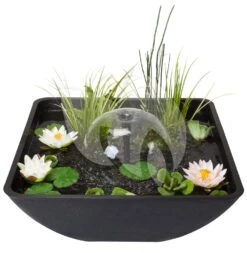 Velda Terrasvijver Fountain Pond Vierkant Groot 9 Velda Terrasvijver Fountain Pond Vierkant Groot -Goedkope Droom Vijver Winkel terrasvijver vierkant 75cm 123516 2 0 978x1000