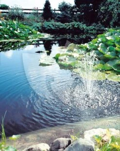 Ubbink Biopressure II 18000 Drukfilter -Goedkope Droom Vijver Winkel ubbink biopressure ii 6000 drukfilter 2 0 796x1000 1