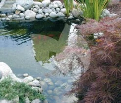 Ubbink BioPure 2000 Basic-Set Onderwaterfilter 10 Ubbink BioPure 2000 Basic-Set Onderwaterfilter -Goedkope Droom Vijver Winkel ubbink biopure 2000 basic set onderwaterfilter 2 0 1000x852