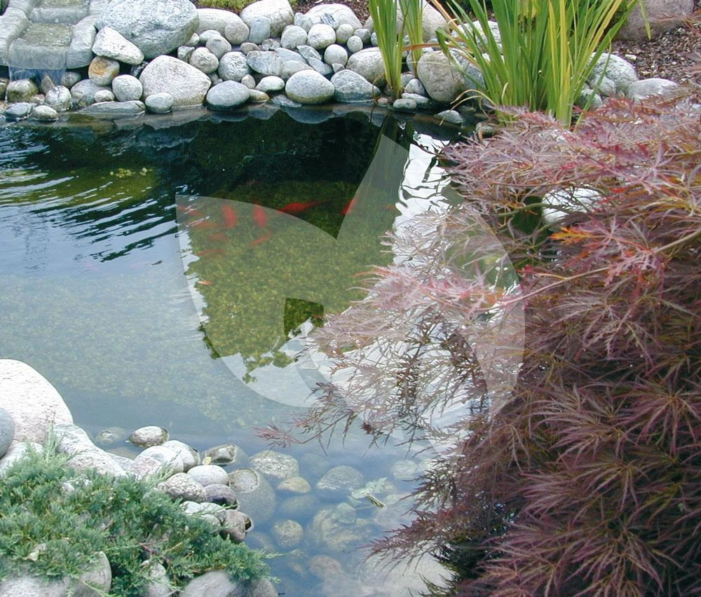 Ubbink BioPure 2000 Basic-Set Onderwaterfilter 6 Ubbink BioPure 2000 Basic-Set Onderwaterfilter - Afbeelding 4