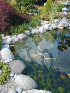 Ubbink FiltraClear 6000 PlusSet Vijverfilter -Goedkope Droom Vijver Winkel ubbink filtraclear 4500 basicset doorstroomfilter 2 0 750x1000 1