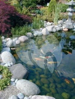 Ubbink FiltraClear 8000 PlusSet Vijverfilter -Goedkope Droom Vijver Winkel ubbink filtraclear 8000 basicset doorstroomfilter 2 0 750x1000 1