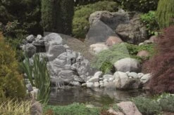 Ubbink FiltraPure 2000 Vijverfilter -Goedkope Droom Vijver Winkel ubbink filtrapure 2000 vijverfilter 2 0 1000x665