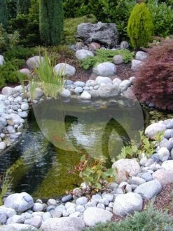 Ubbink FiltraPure 4000 Vijverfilter 7 Ubbink FiltraPure 4000 Vijverfilter -Goedkope Droom Vijver Winkel ubbink filtrapure 4000 vijverfilter 2 0 750x1000 2