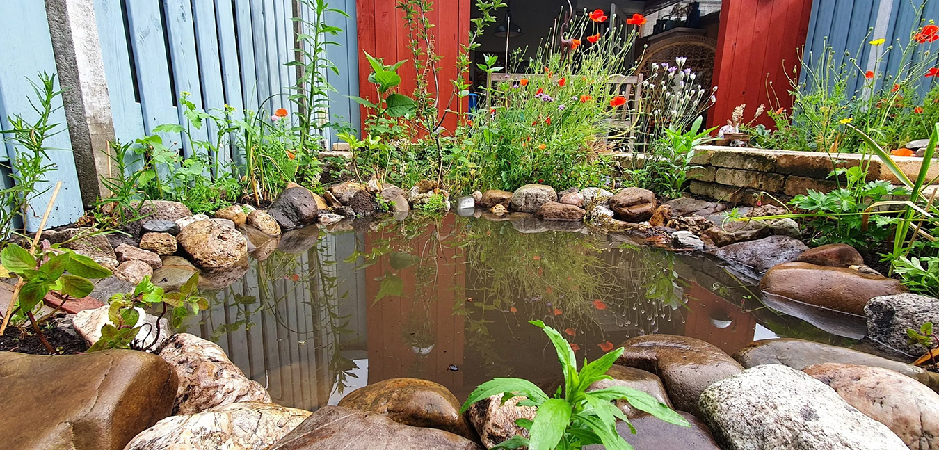 Goedkope Droom Vijver Winkel -Goedkope Droom Vijver Winkel vijver header 1a scaled 1